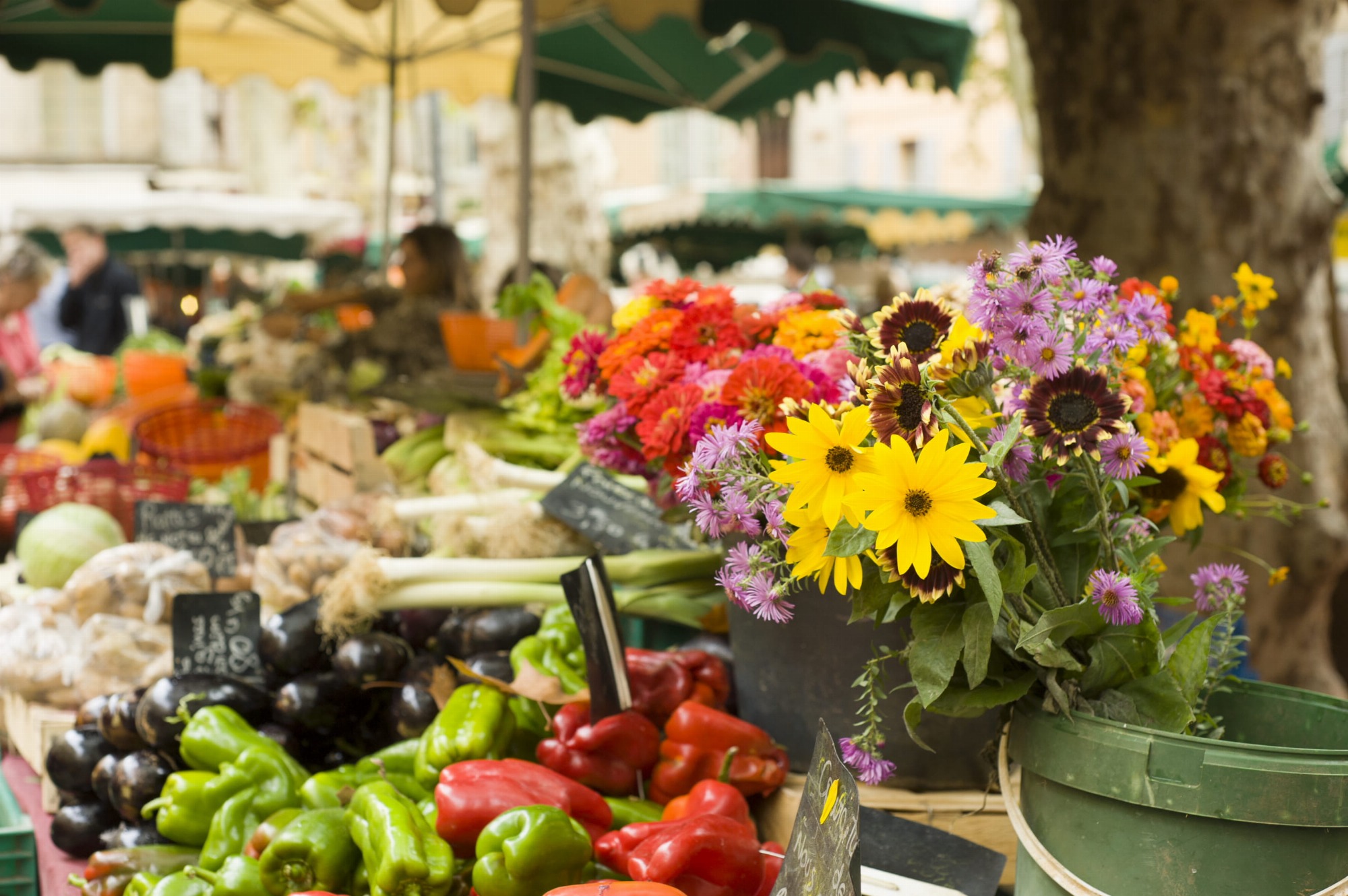 Marché hebdomadaire de Saint-Martin-de-Crau_Saint-Martin-de-Crau