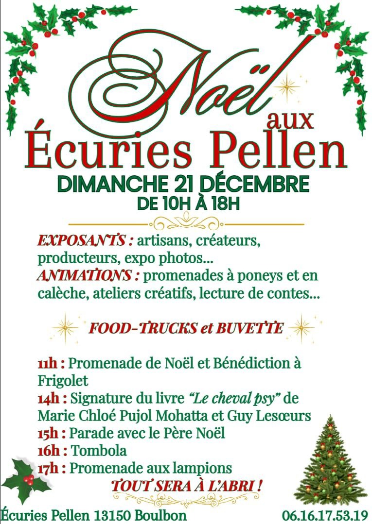 Noël aux écuries Pellen_Boulbon