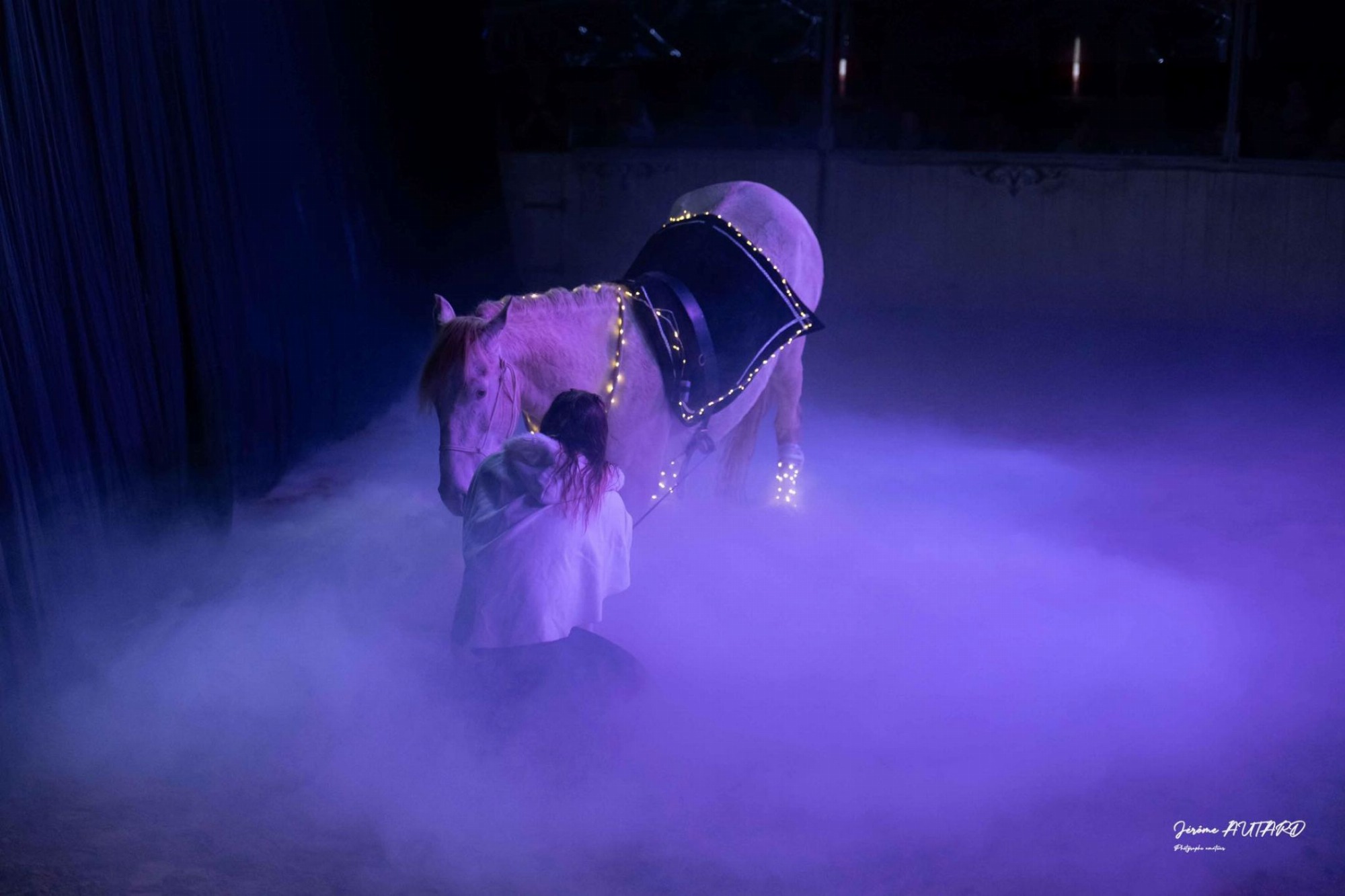 Spectacle 2026/Les 4 saisons et les chevaux/Au Cabaret Équestre des Mylords_Tarascon