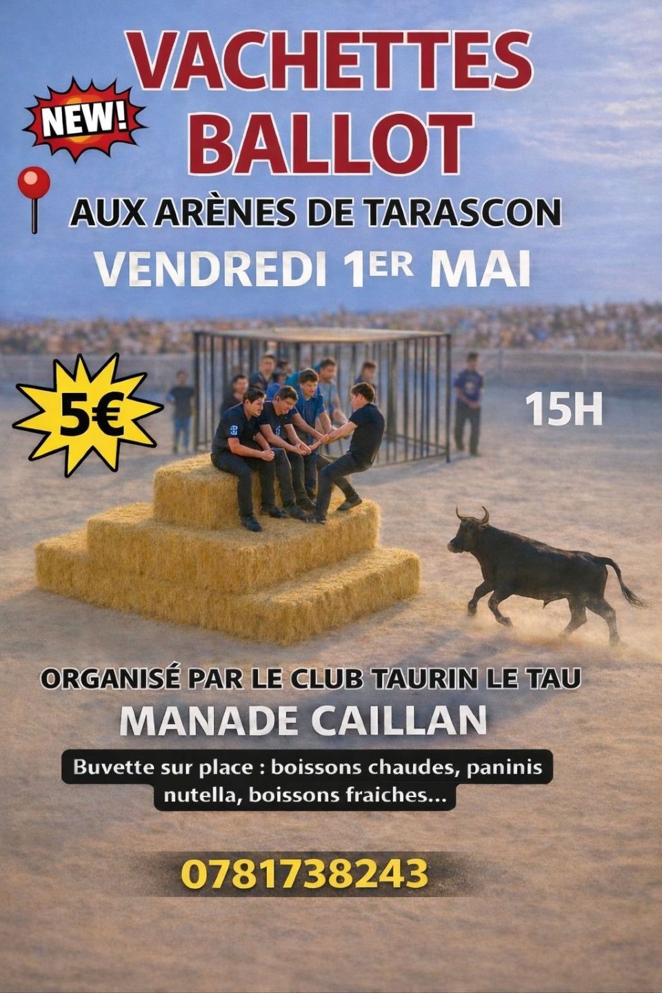 Tarascon/Vachettes Ballots_Tarascon