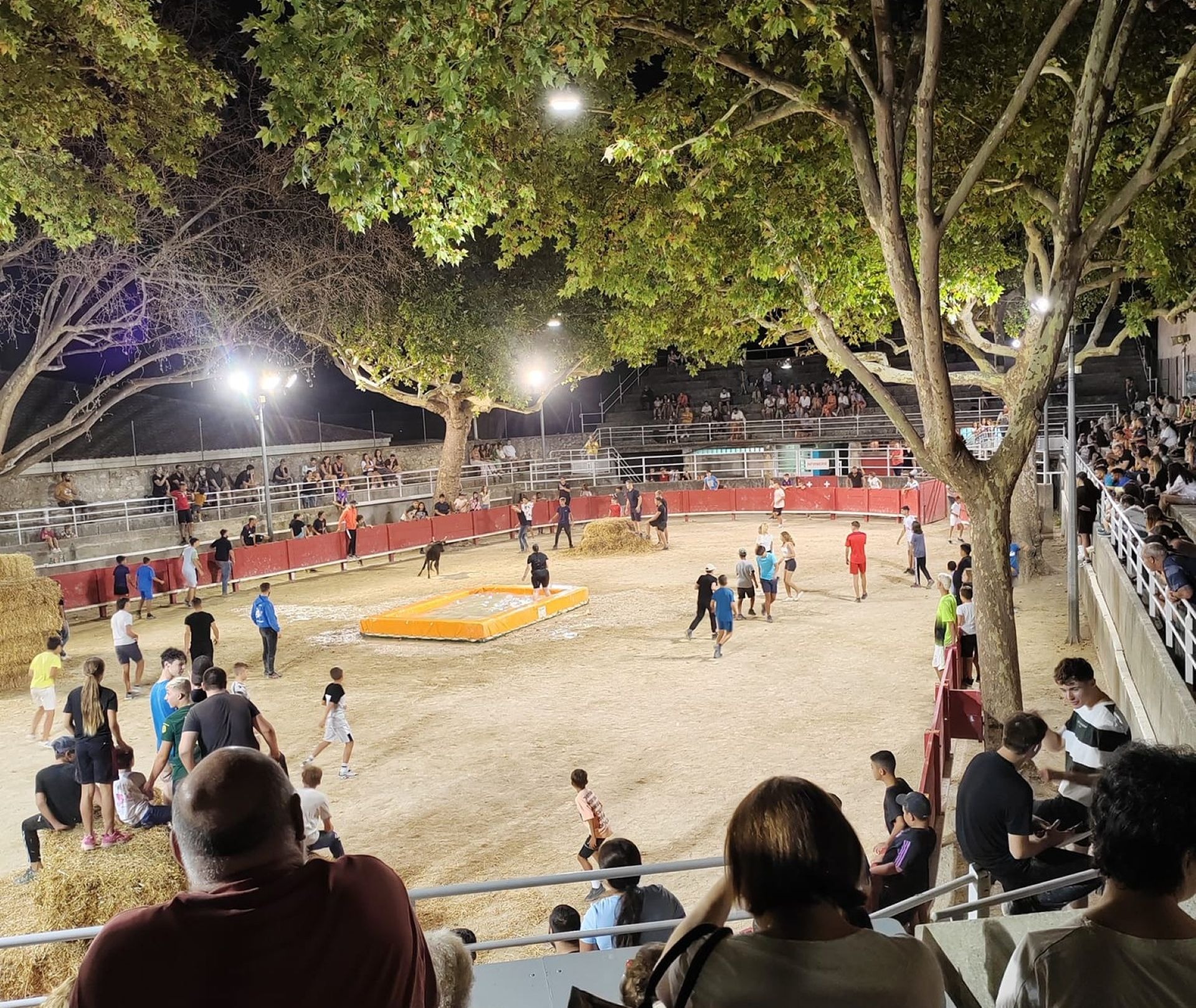 Tarascon Taureau Piscine / Club