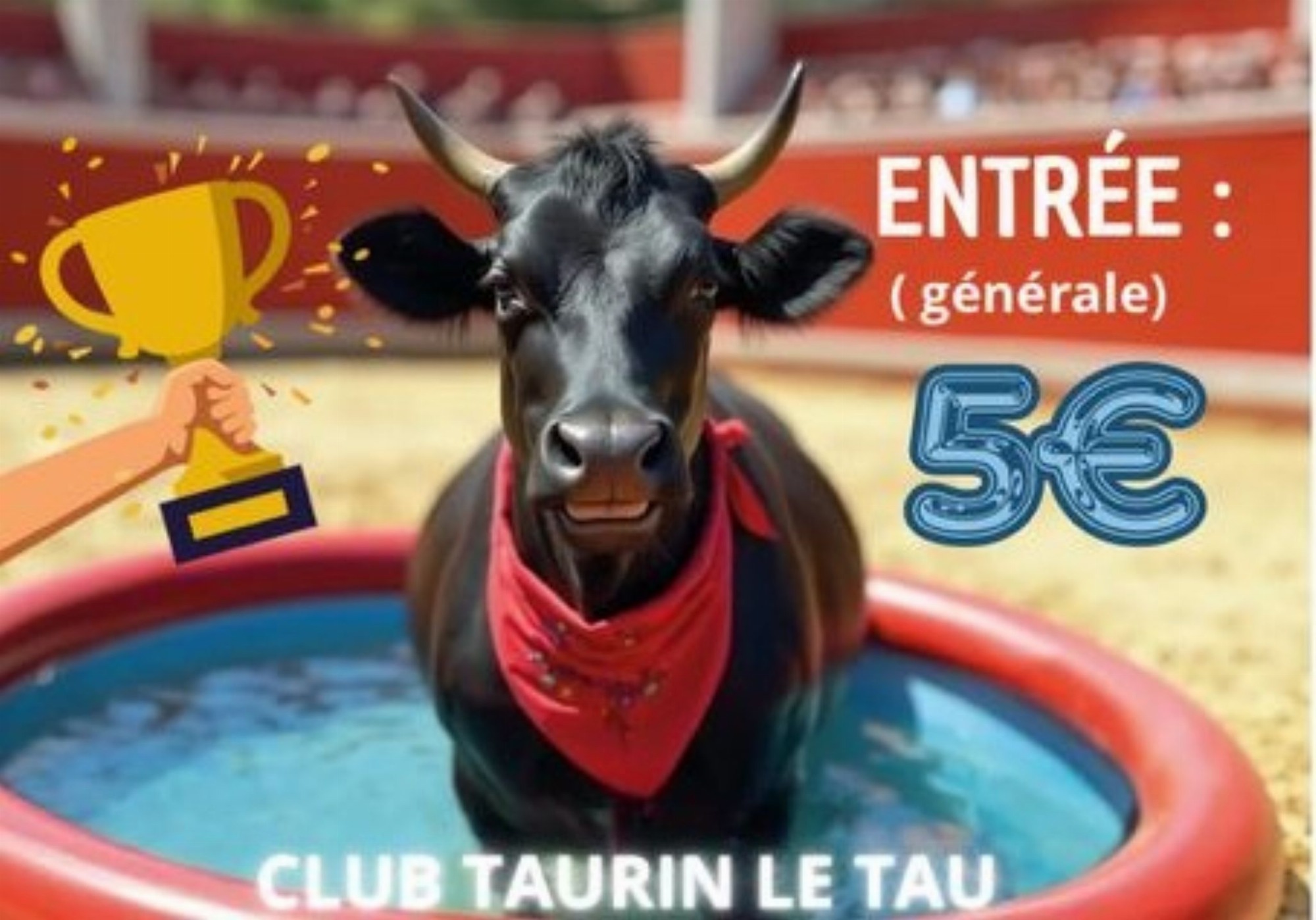 Tarascon Taureau Piscine / Club Lou Tau