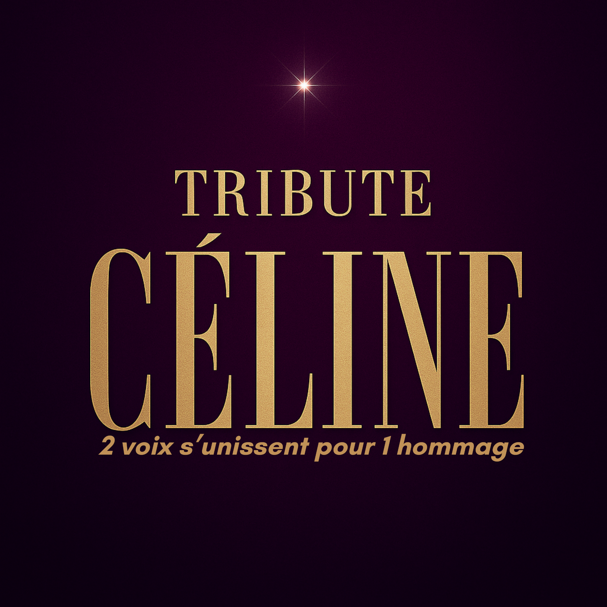 Tribute Céline_Saint-Martin-de-Crau