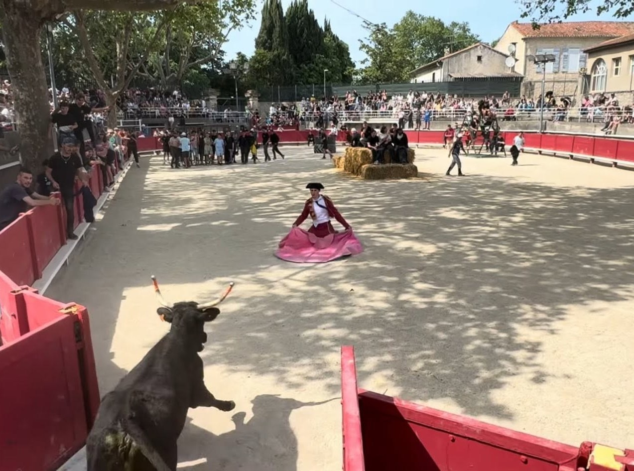 Les Automnales de Tarascon