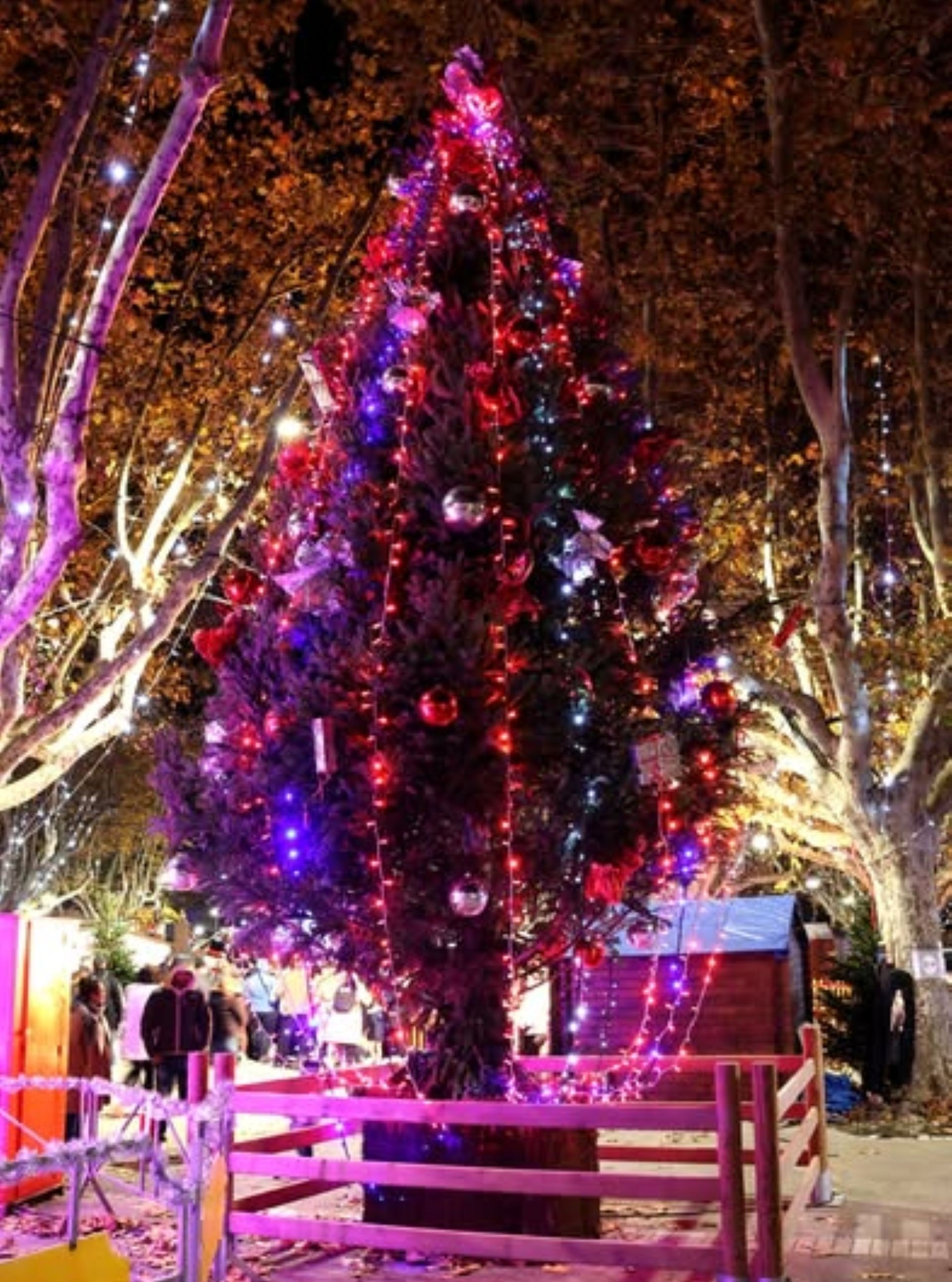 Monde Merveilleux de Noël